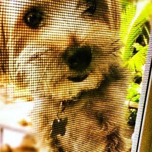 Meet your Posher, Brittney